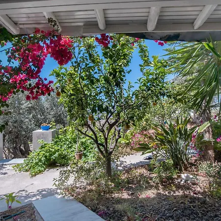 Maggano Paros 3 * Angairiá