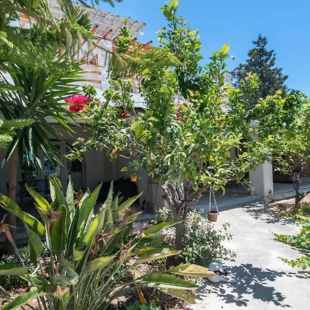 Apartment Maggano Paros 3 Angairia