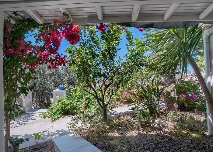 Maggano Paros 3 * Angairia